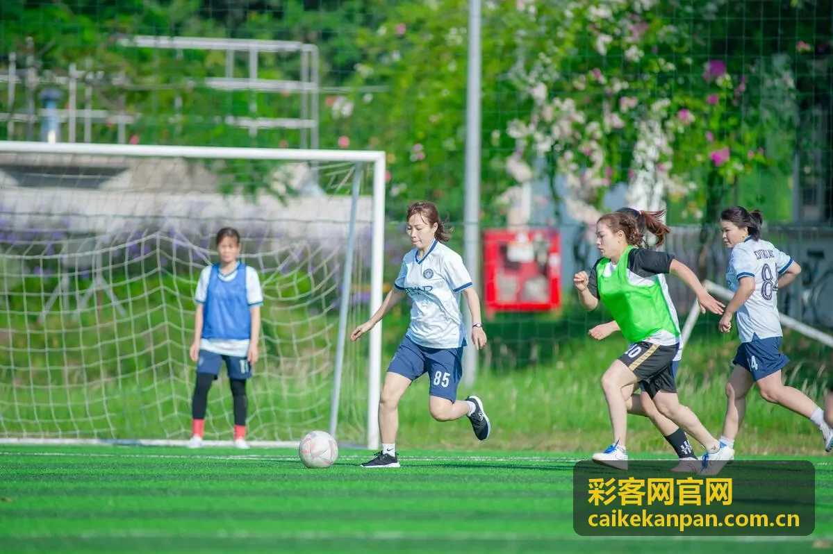 彩客网官网篮球历史交锋数据与胜负关系
